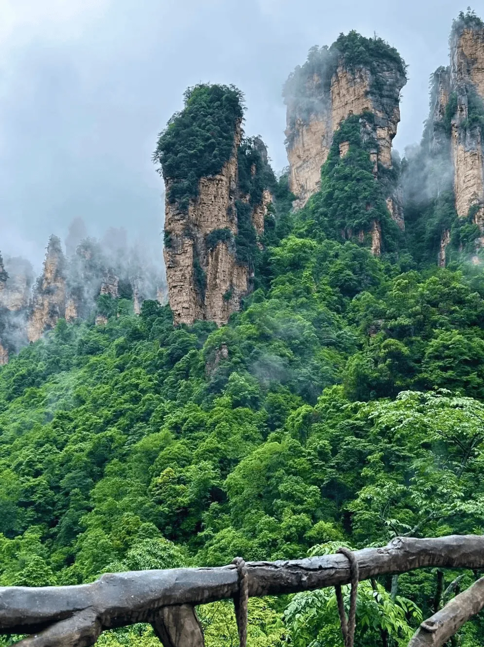 张家界天门山旅游自助游攻略(张家界天门山一日游最详细攻略)