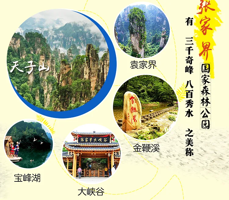 张家界5日跟团旅游攻略(张家界5日跟团旅游攻略大全)