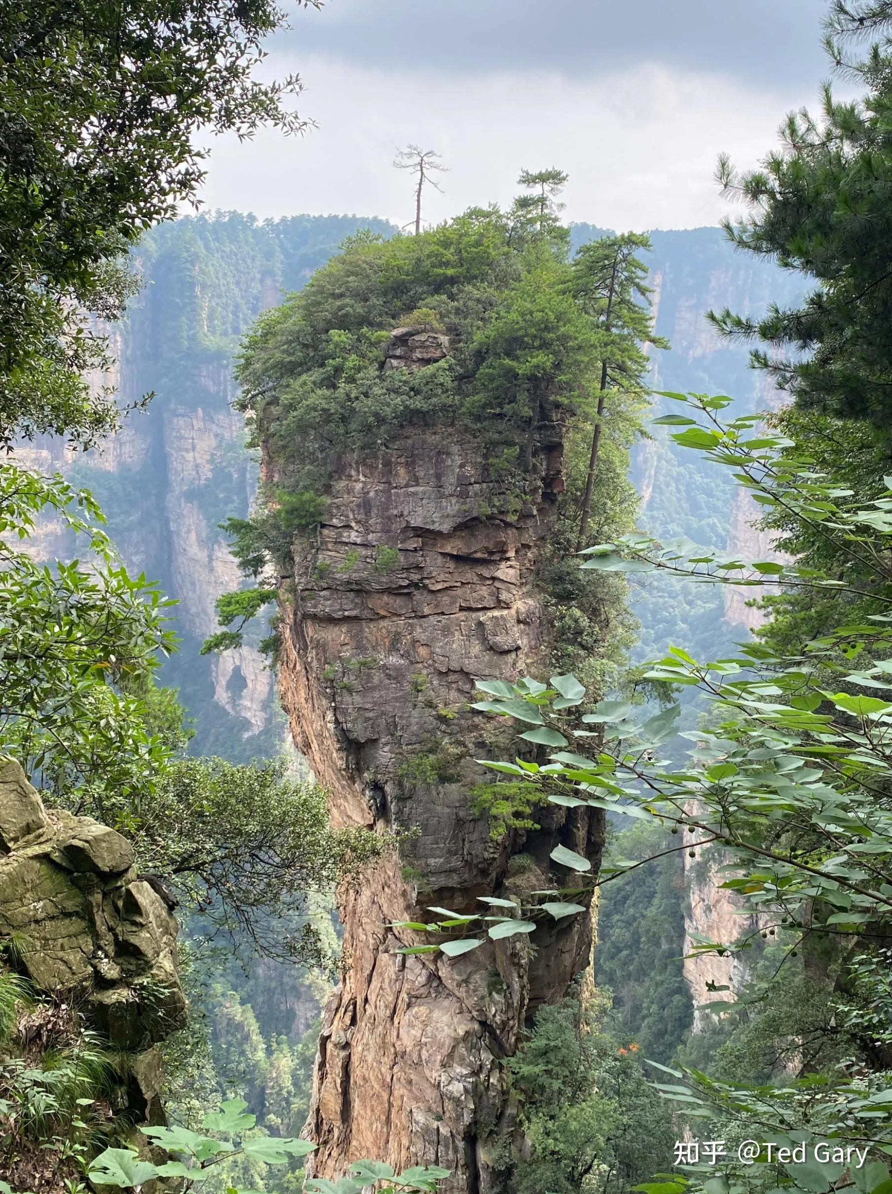 张家界火车站怎么到天门山景区(张家界火车站到天门山景区有多远)