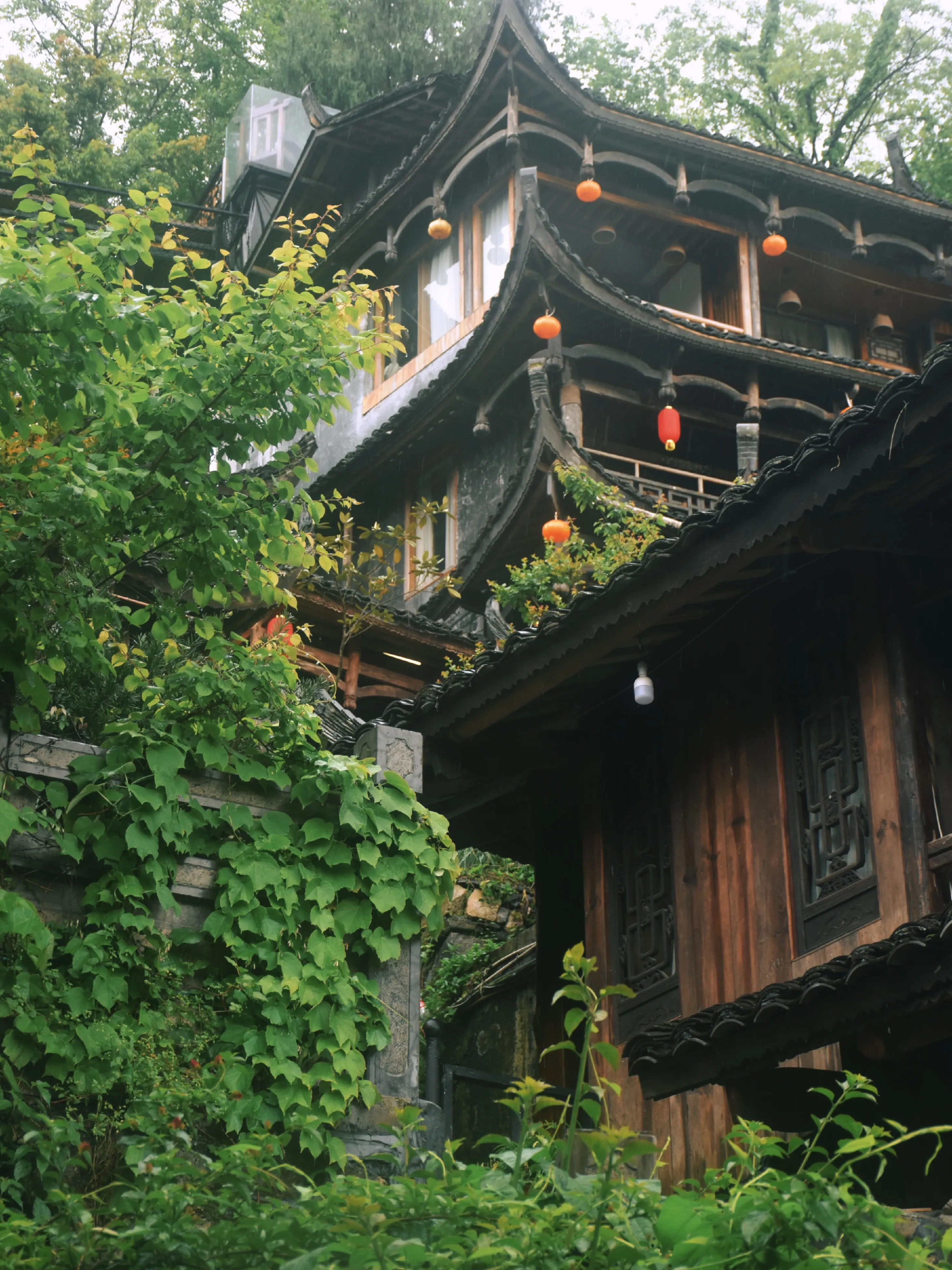 旅游攻略张家界芙蓉镇旅游攻略的简单介绍