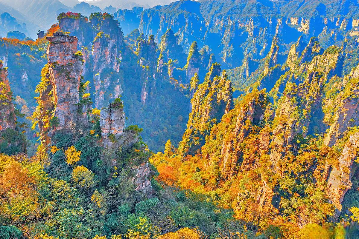 张家界天门山国家森林旅游(张家界天门山国家森林公园攻略)