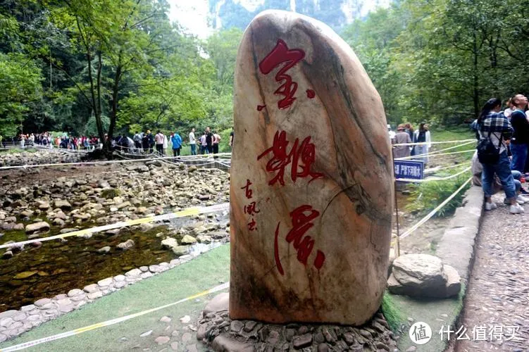 张家界国家森林旅游攻略(张家界国家森林公园门票预订)