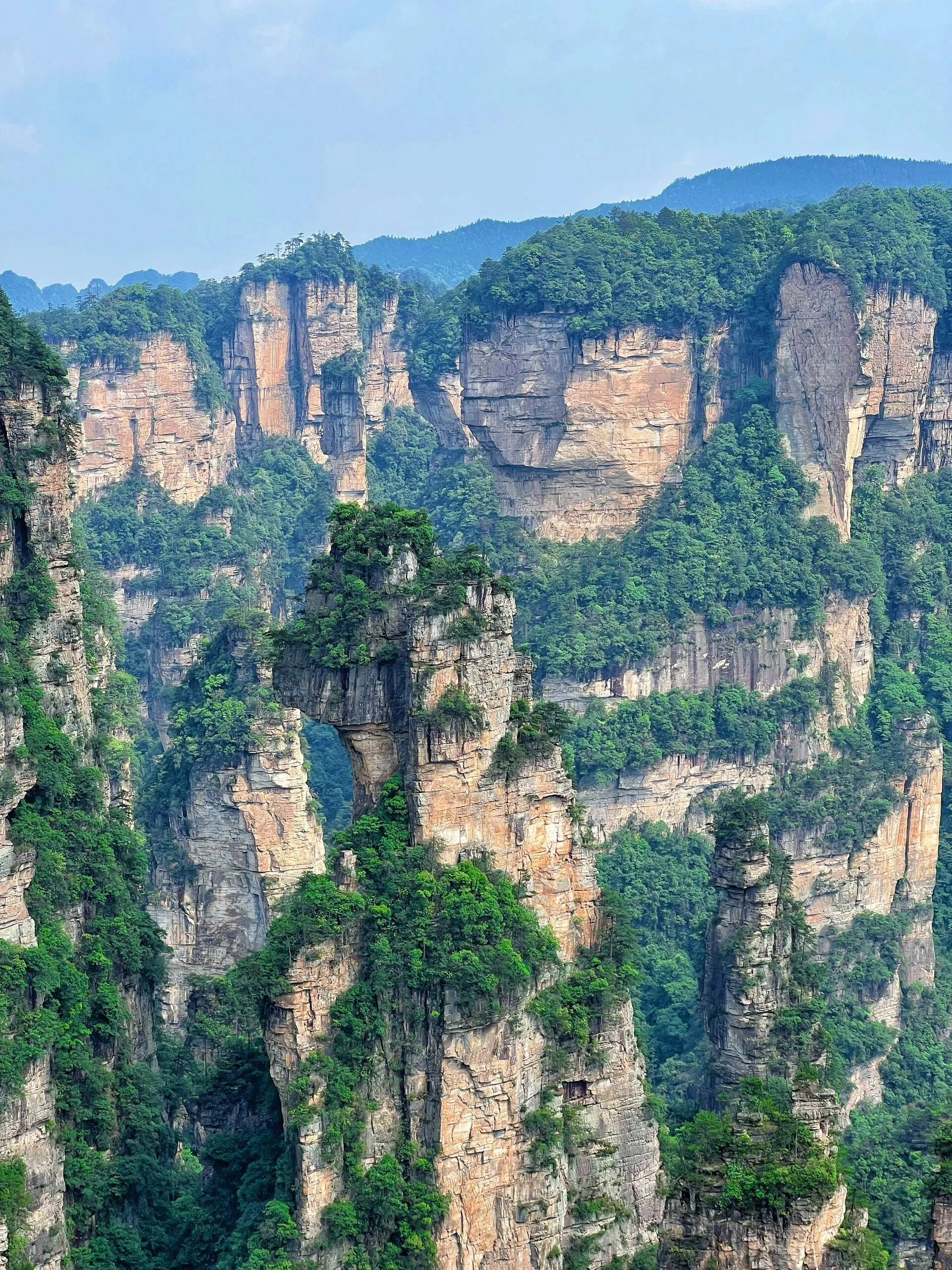 南昌到张家界自助游攻略(南昌到张家界自助游攻略图)