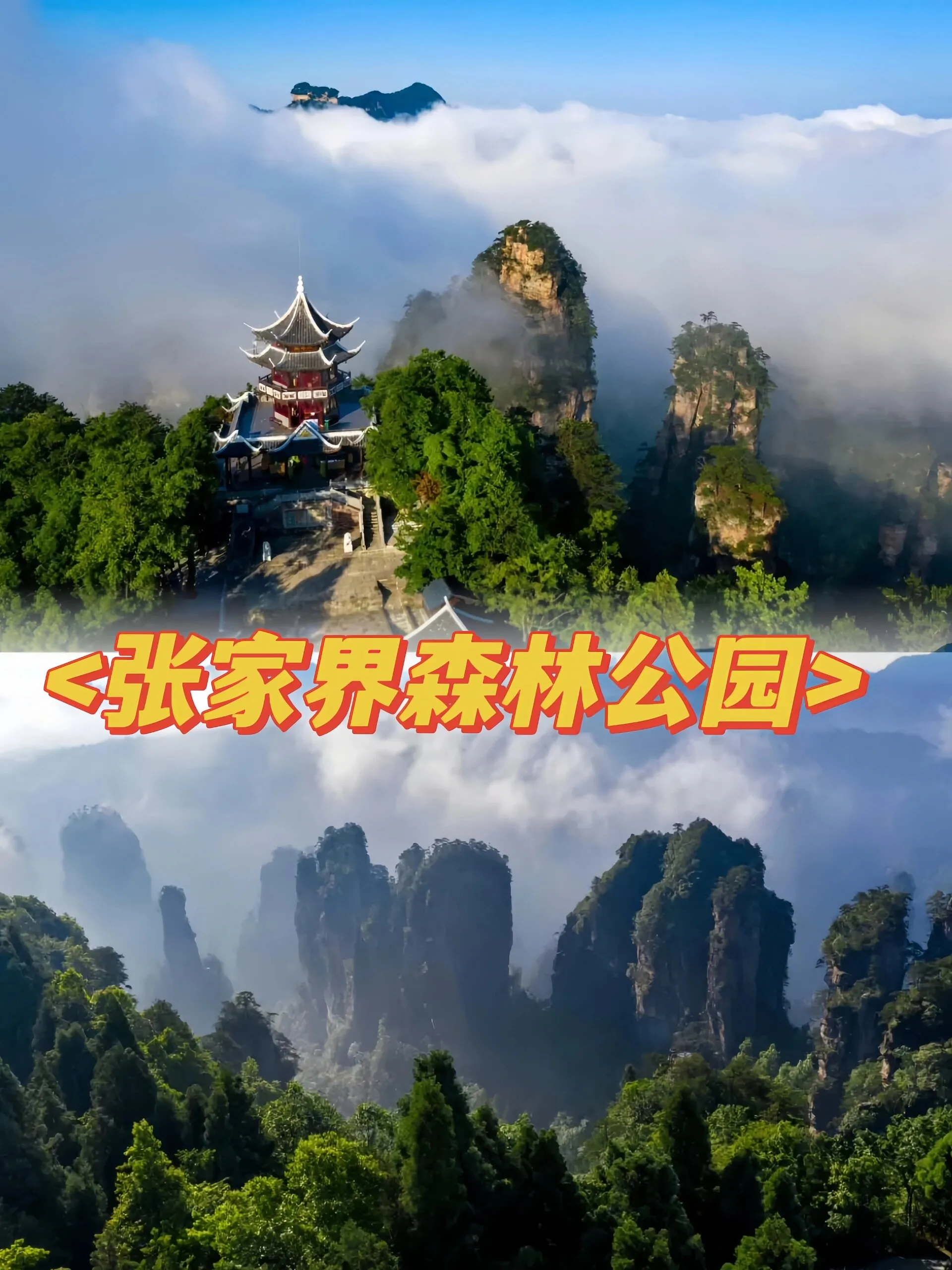 张家界景点攻略大全(不可错过的张家界景点)