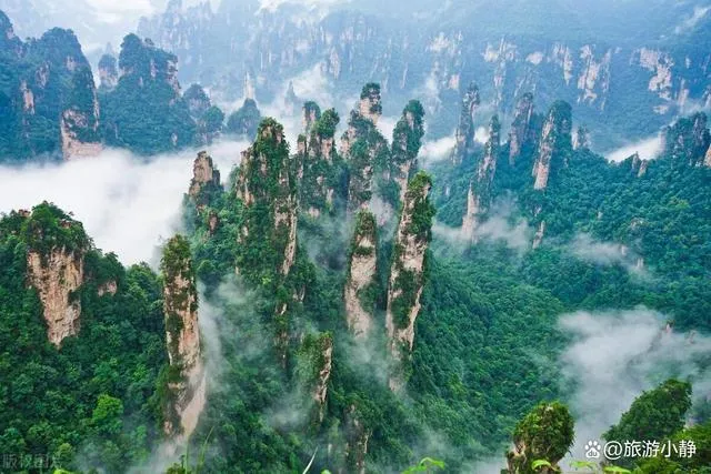 张家界张家界山旅游(张家界旅游攻略百度百科)