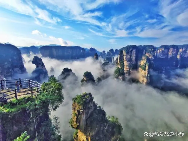 张家界旅游去处(张家界旅游攻略必去)