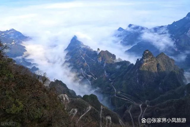 新张家界旅游(新张家界旅游景点介绍)