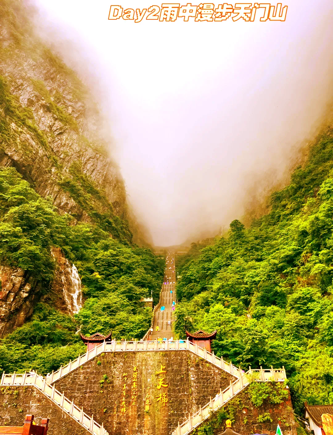 武汉到张家界旅游攻略自由行三天(武汉到张家界旅游攻略自由行三天游)