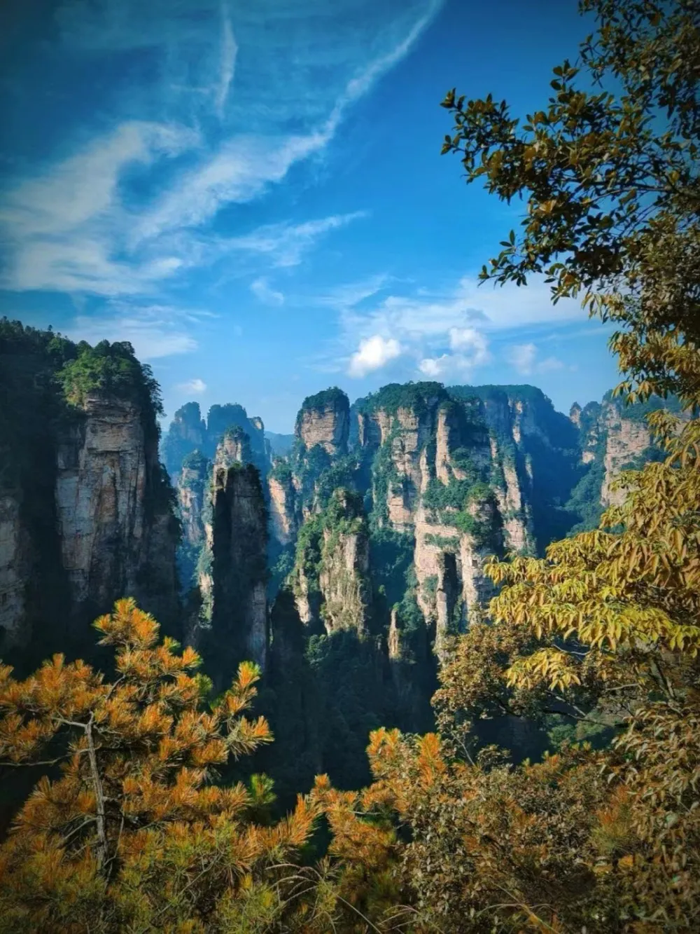 张家界3日游天门山(张家界天门山旅游价格)