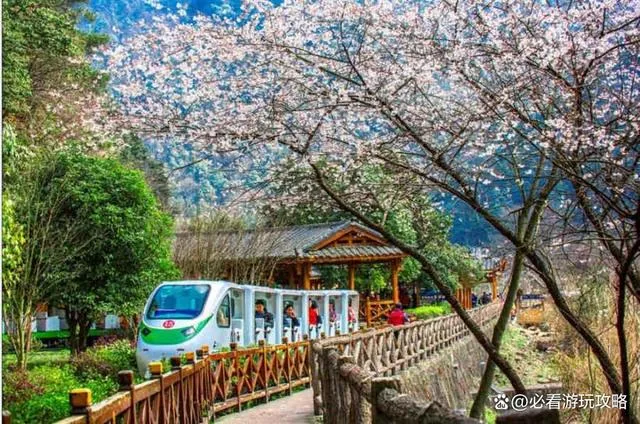 八月份旅游去张家界(八月份旅游去张家界好玩吗)