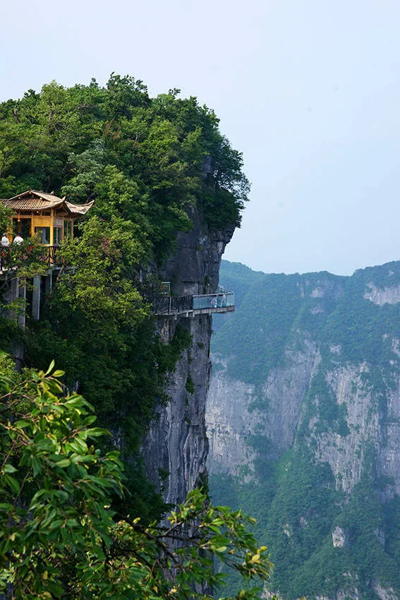 张家界著名旅游(张家界著名旅游景区)
