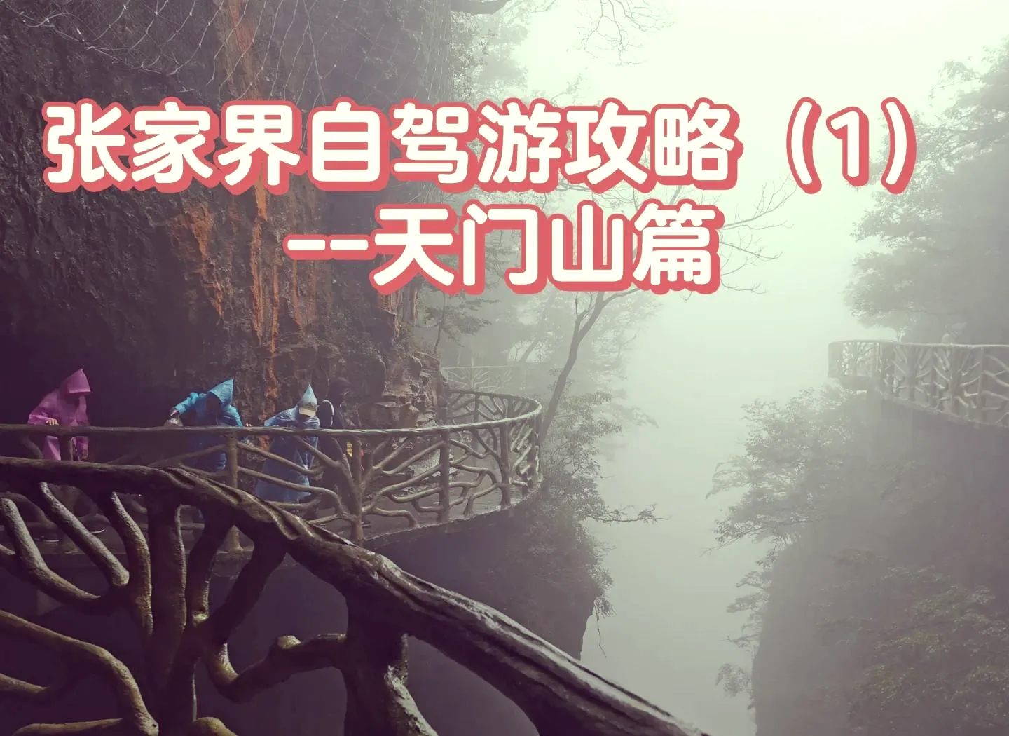 武汉到张家界旅游攻略自由行三天(武汉到张家界旅游攻略自由行三天游)