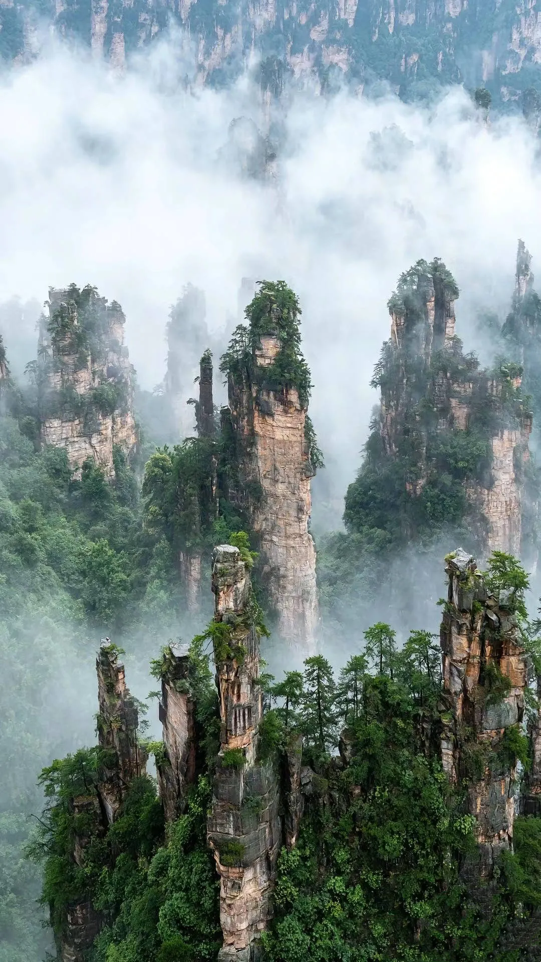 去张家界旅游的景点(去张家界旅游的景点有哪些)