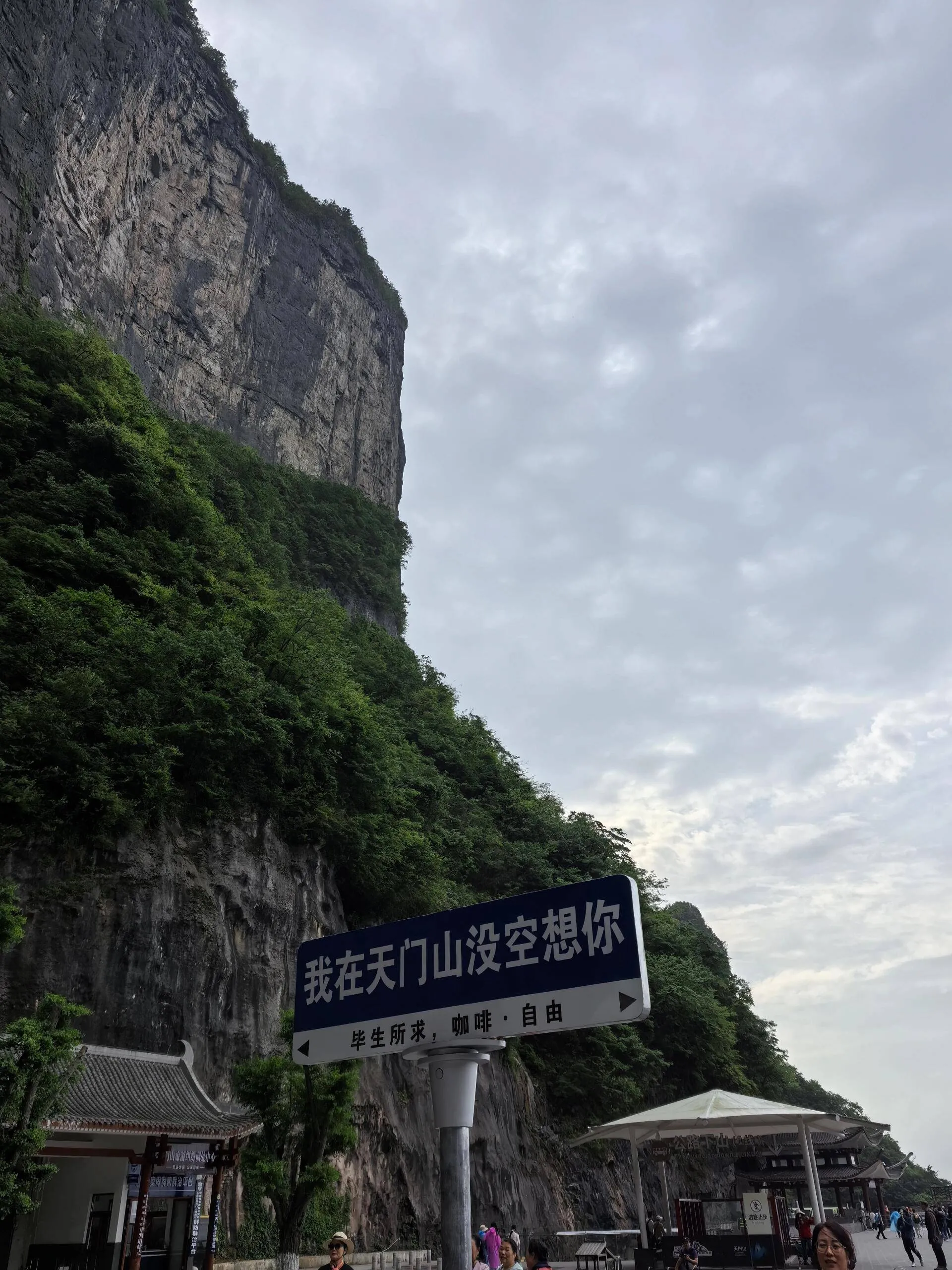 多少钱能旅游张家界(张家界旅游要花多少钱)