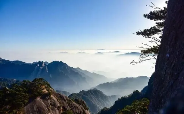 黄山和张家界哪个更值得去旅游(黄山和张家界哪个更值得去旅游呢)