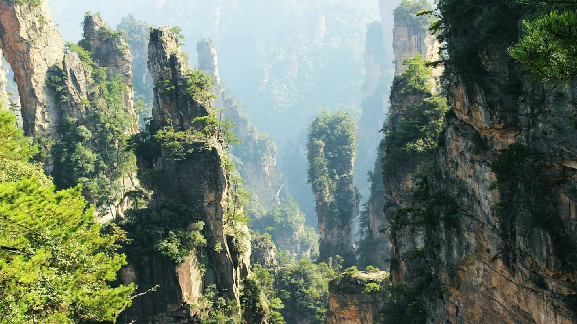 张家界著名旅游(张家界著名旅游景区)