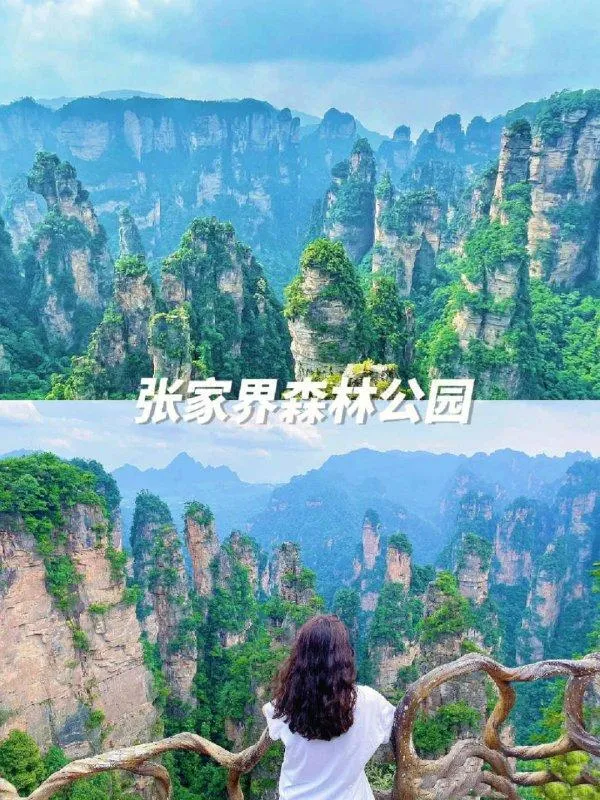 去张家界玩三天需要多少钱(去张家界旅游攻略三天行程游玩?)