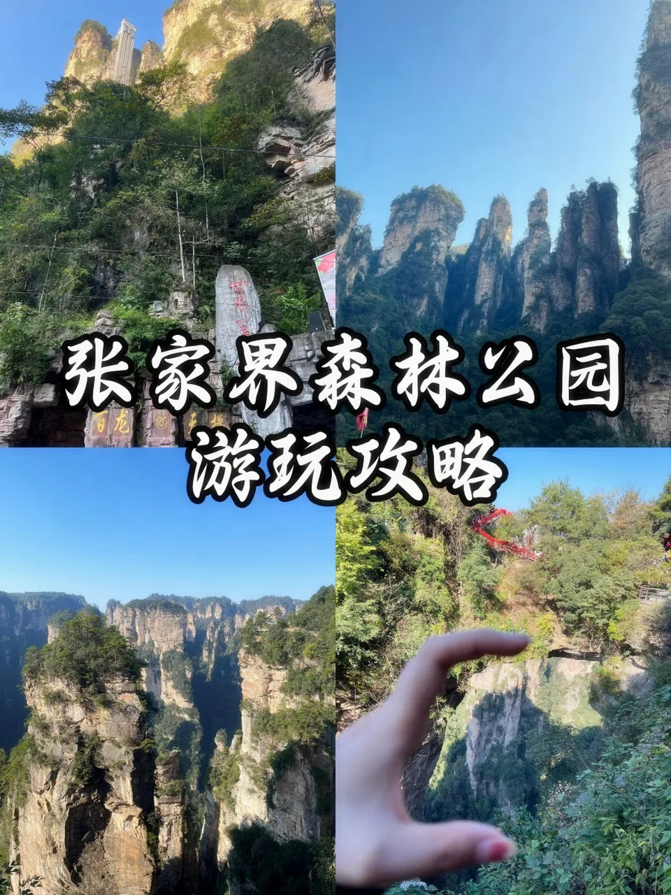 张家界国家森林公园自助游攻略(张家界国家森林公园自助游攻略视频)