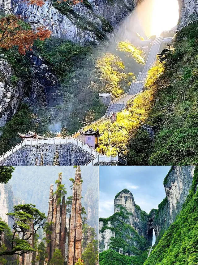 去张家界天门山攻略(去张家界天门山攻略路线)