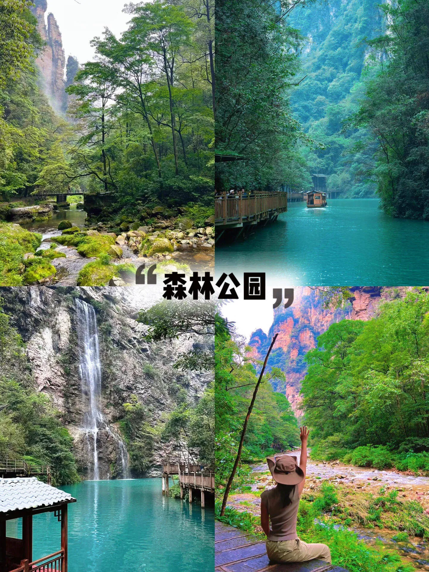 济南出发张家界5日游(济南出发张家界5日游多少钱)