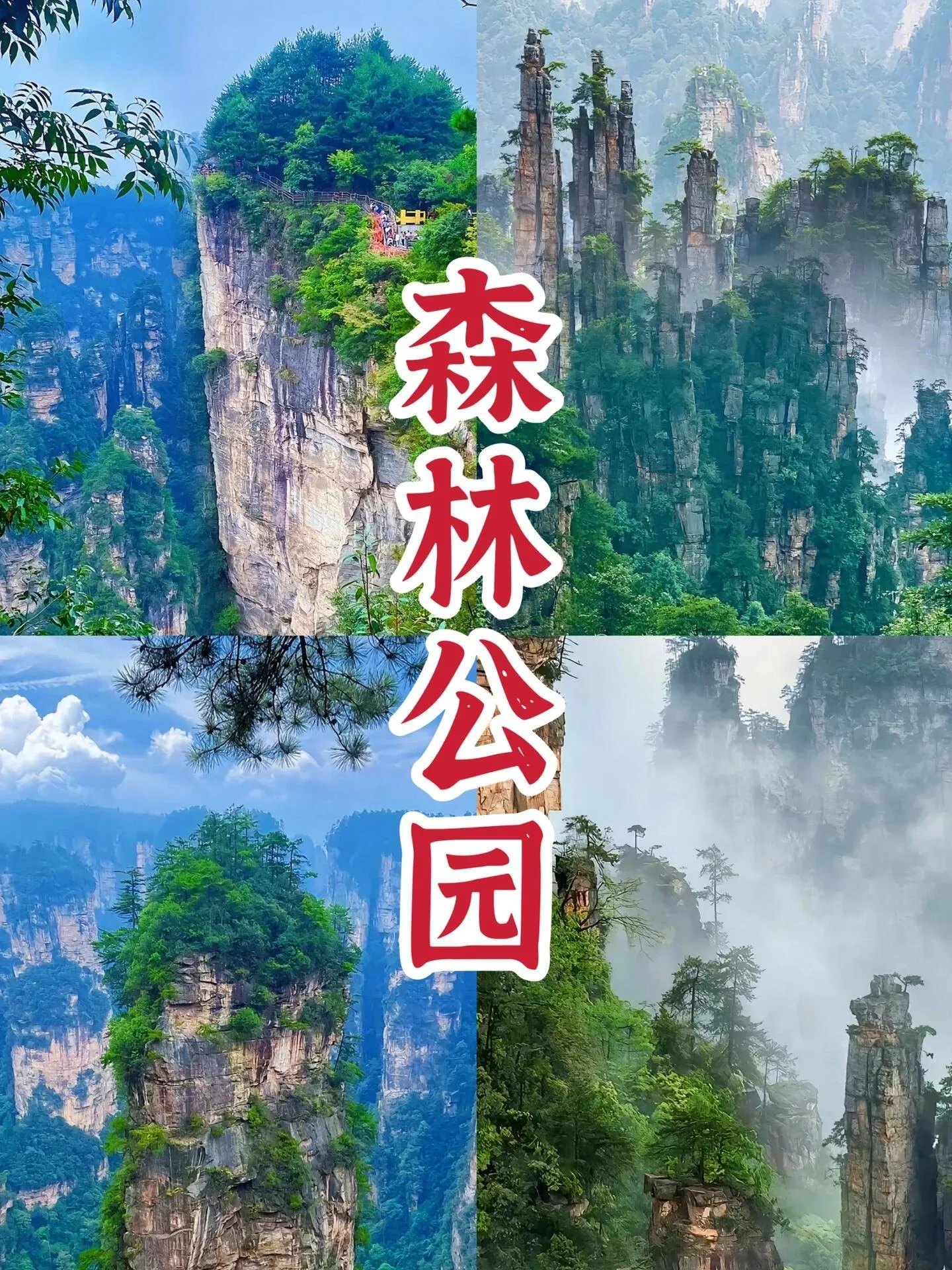 天门张家界旅游攻略(张家界旅游天门山门票多少钱一人)