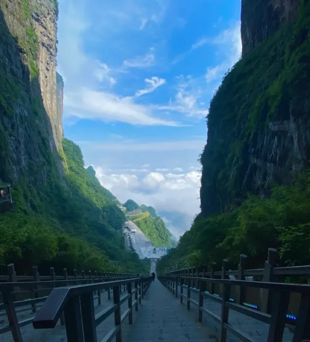 张家界旅游景点天门山(张家界旅游景点天门山门票多少钱)