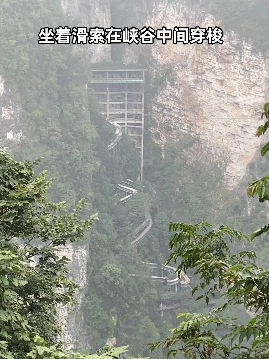 到了张家界怎么去天门山(张家界市区去天门山景区怎么坐车?)
