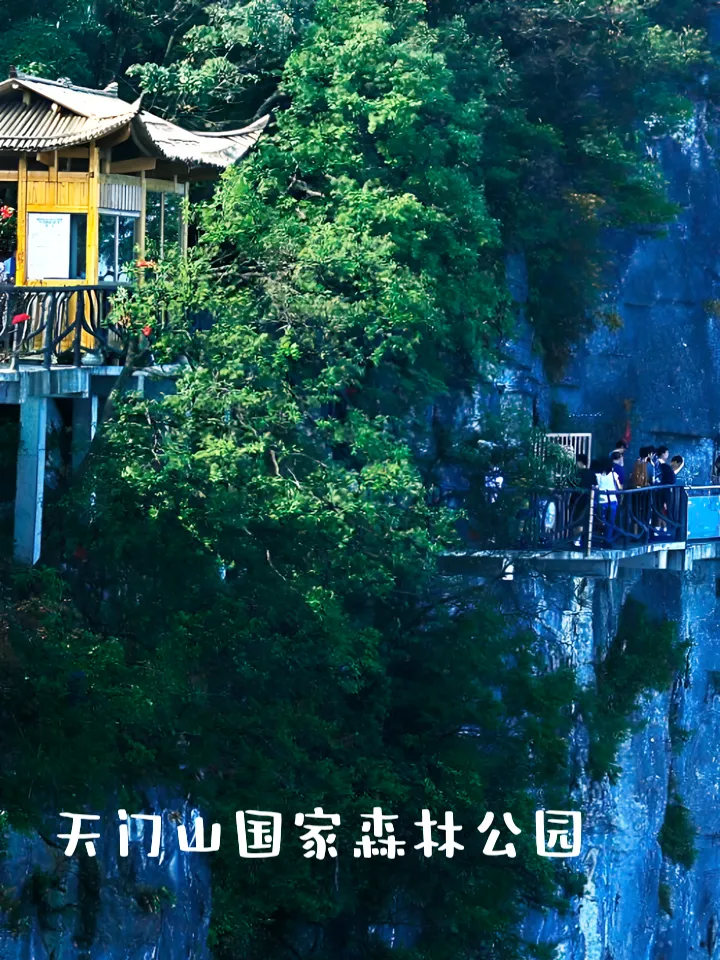 张家界天门山三天旅游(张家界天门山两日游攻略)