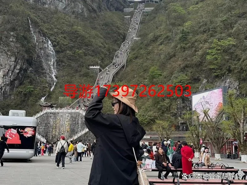 福州去张家界旅游攻略(福州去张家界怎么去比较优惠)