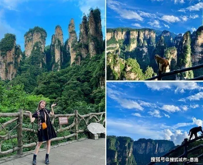 长沙到张家界三日旅游(长沙到张家界三日旅游高山)
