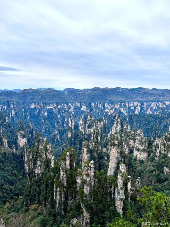 张家界旅游了(张家界旅游了吗现在)