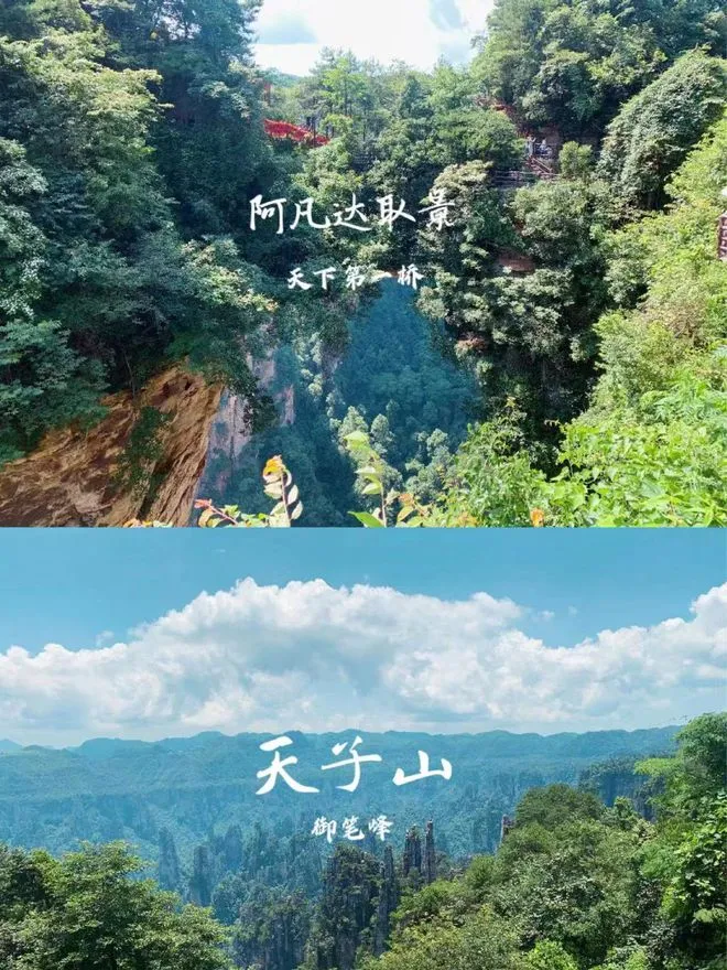 长沙张家界一日游旅游攻略(长沙张家界旅游攻略景点必去)