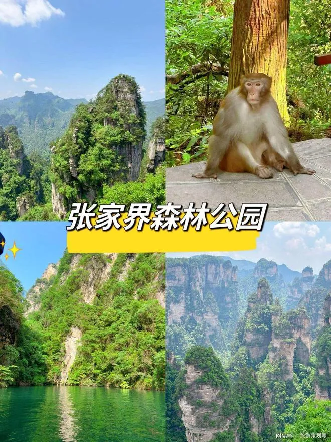 张家界天门山怎么收费(张家界天门山收费一览表)