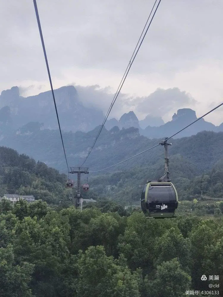 张家界天门山索道攻略(张家界本地人天门山索道门票多少钱)