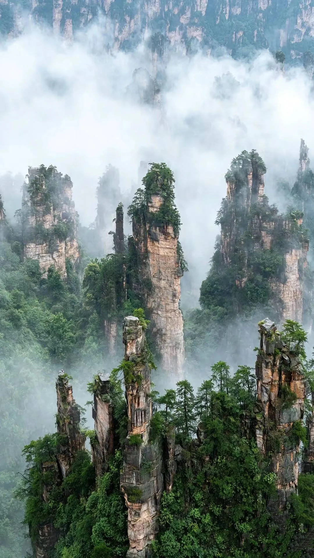 张家界的旅游地区(张家界的主要旅游景点)