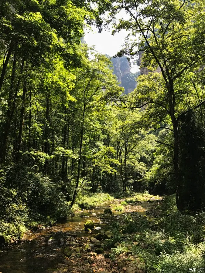1月份张家界金鞭溪旅游攻略的简单介绍