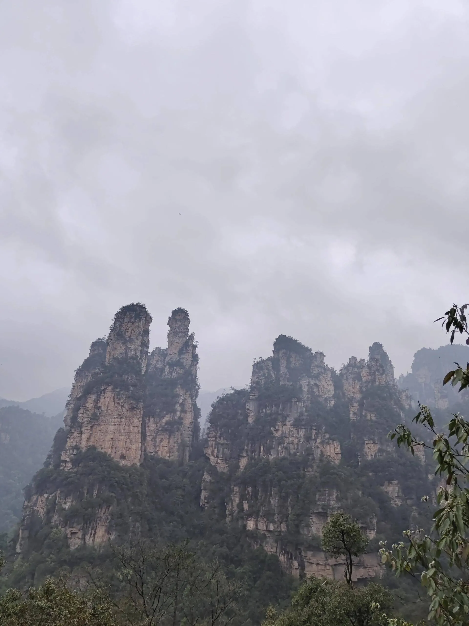 到张家界大峡谷旅游攻略(到张家界大峡谷旅游攻略图)