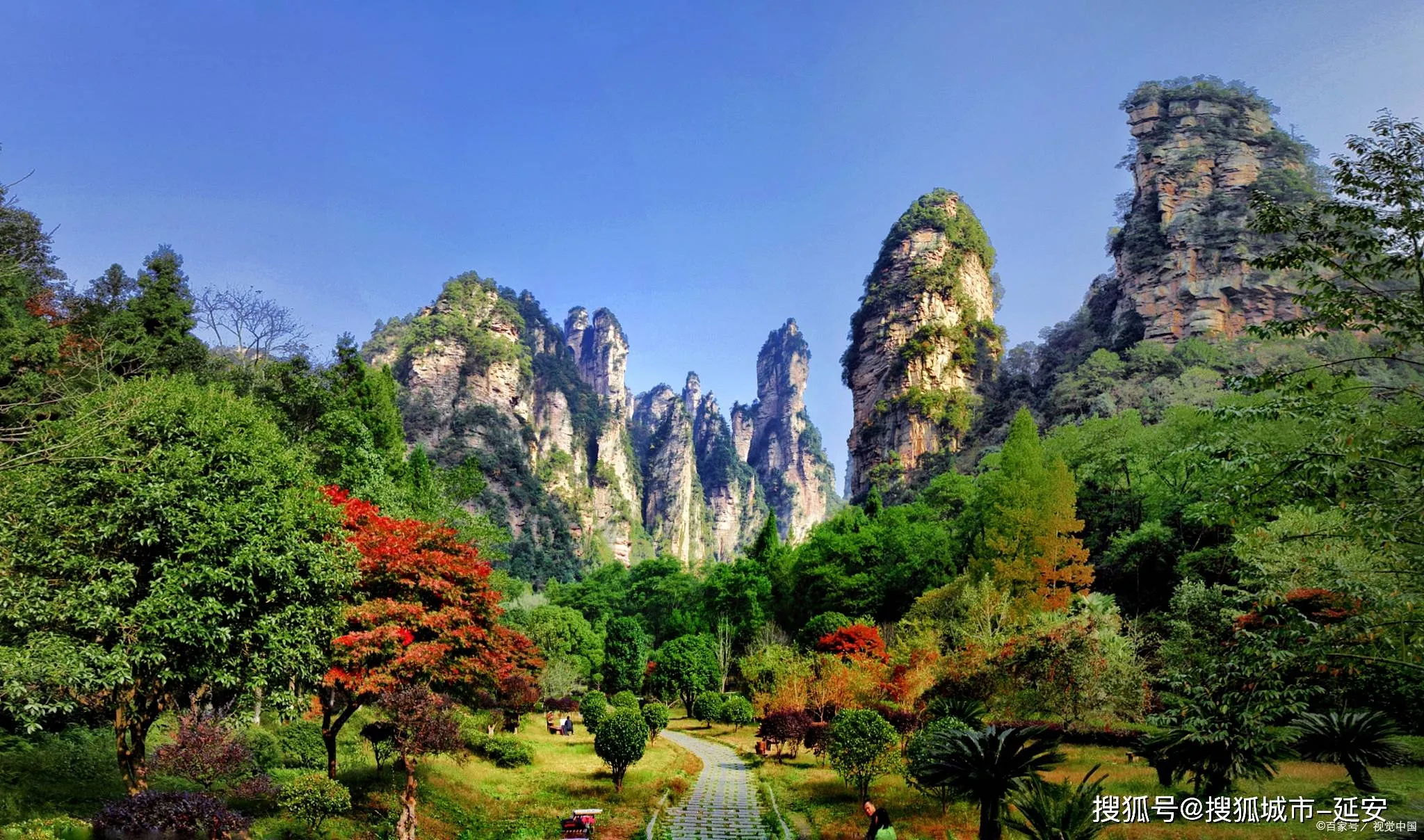 张家界纯玩旅行(张家界纯玩旅行社有限公司)