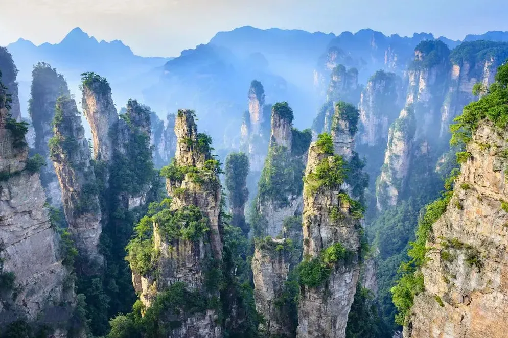 张家界旅游?(张家界旅游官网)