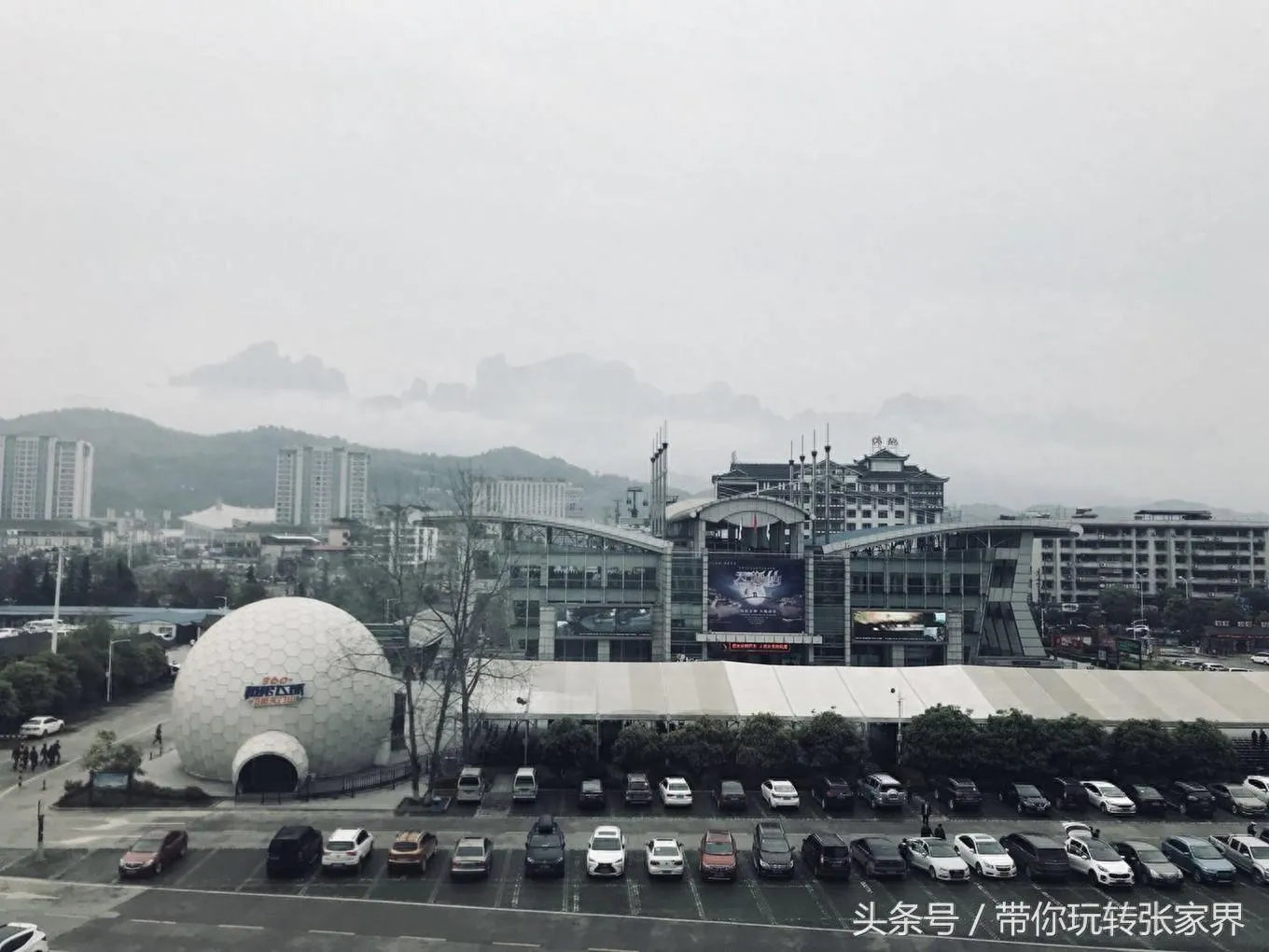 怎么从张家界森林公园到天门山(怎么从张家界国家森林公园到天门山)