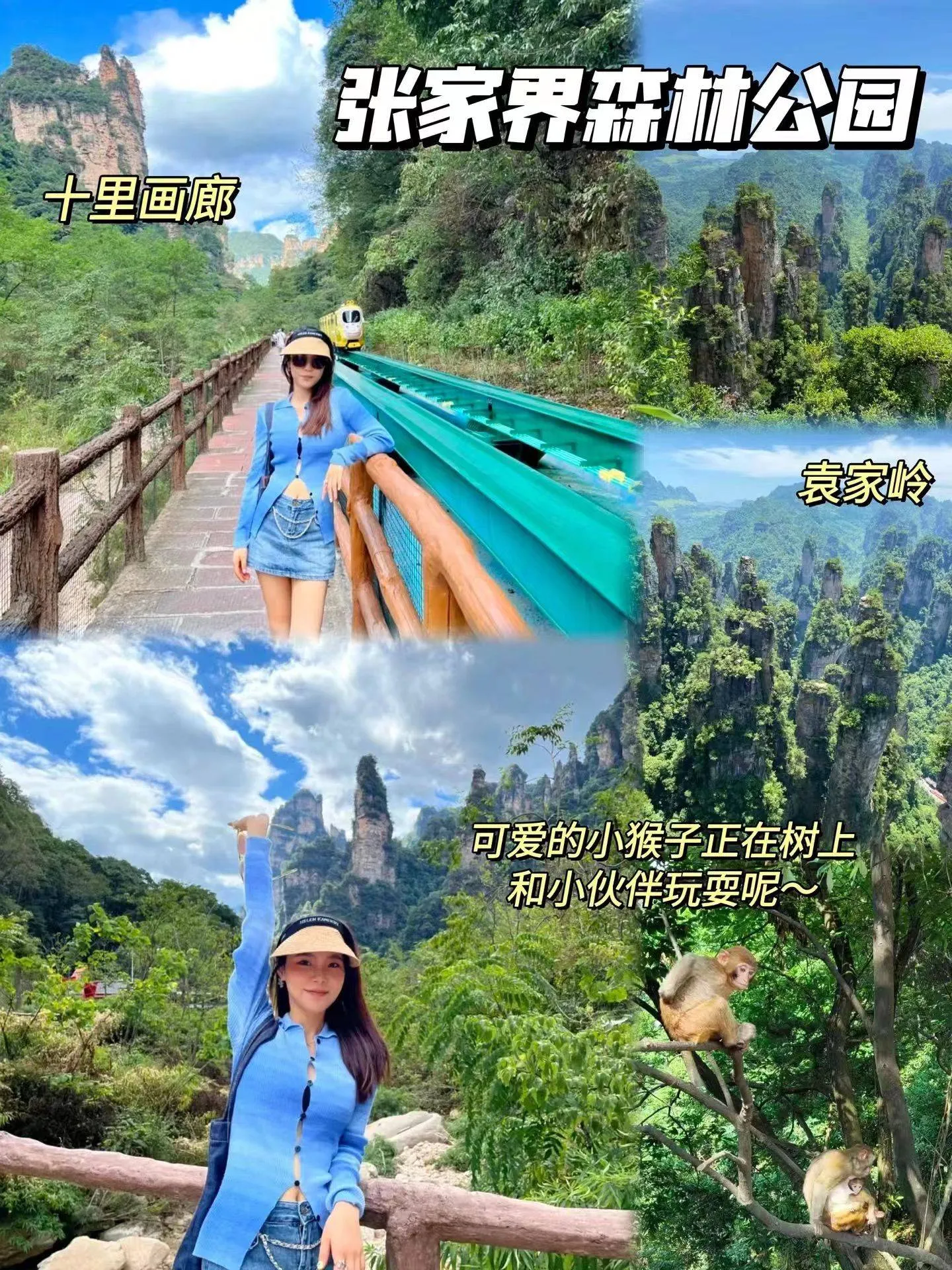去张家界旅游团旅游(去张家界旅游团旅游攻略)