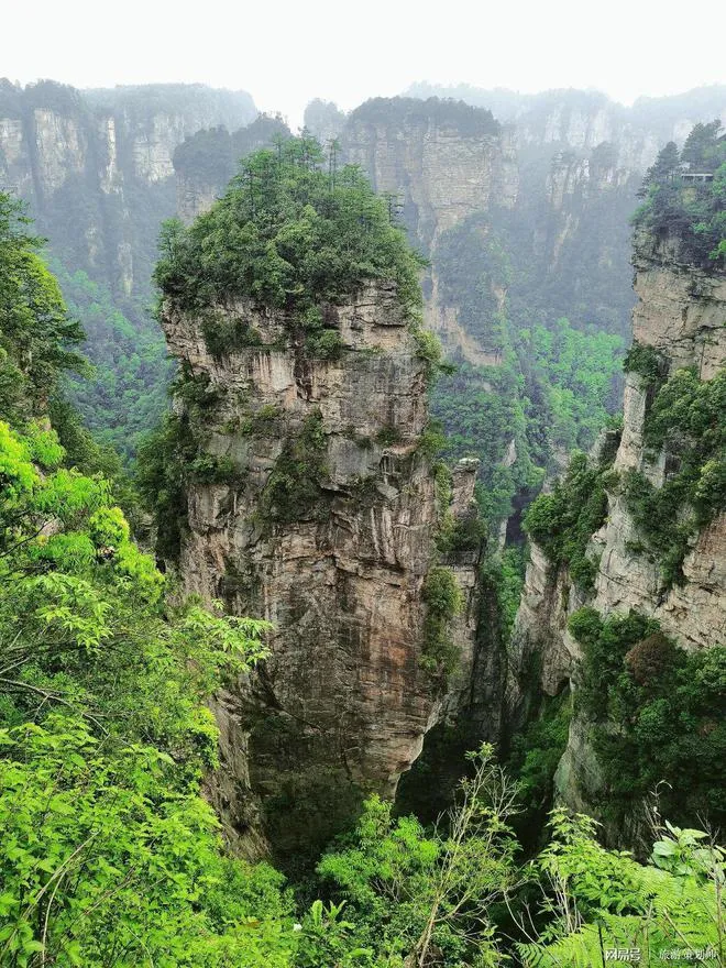 游玩张家界去张家界旅游(游玩张家界去张家界旅游要多少钱)