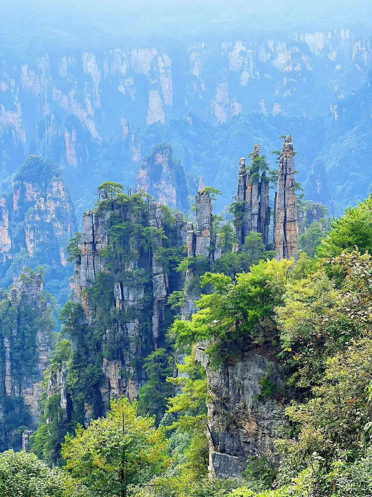 哈尔滨去张家界旅游路线(哈尔滨去张家界需要隔离吗)