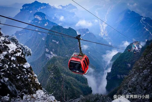 湖南张家界游玩危险吗(2021年湖南张家界可以游玩吗)