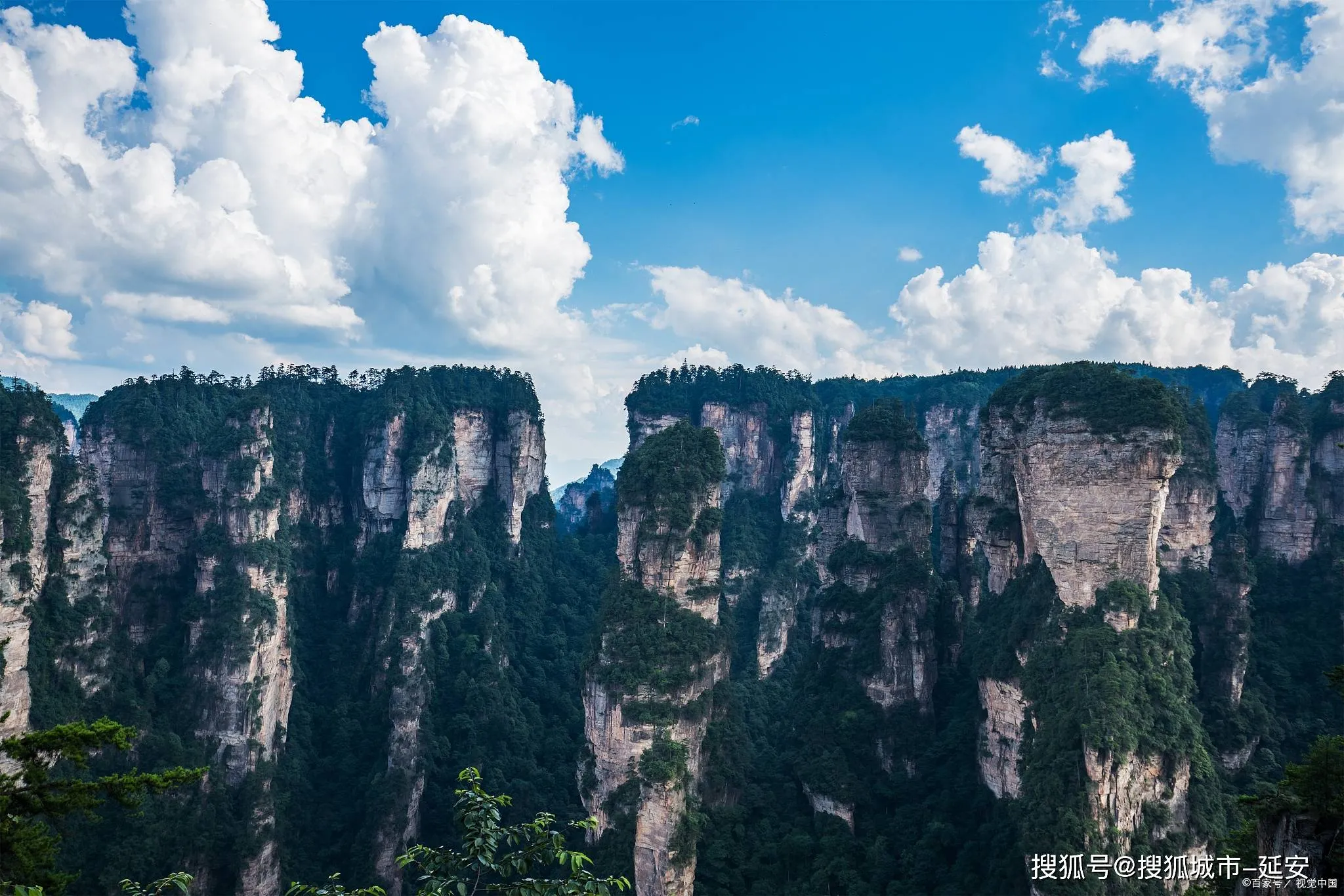 济南至张家界线路(济南至张家界线路图最新)