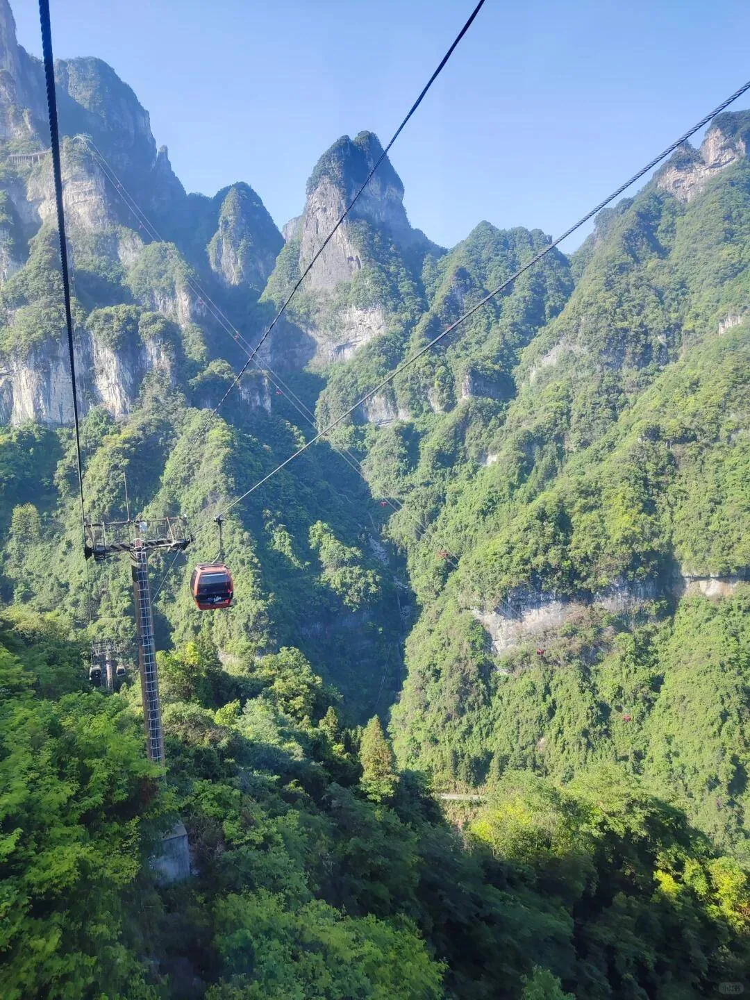 张家界天门山公园官网(张家界天门山门票预订电话)