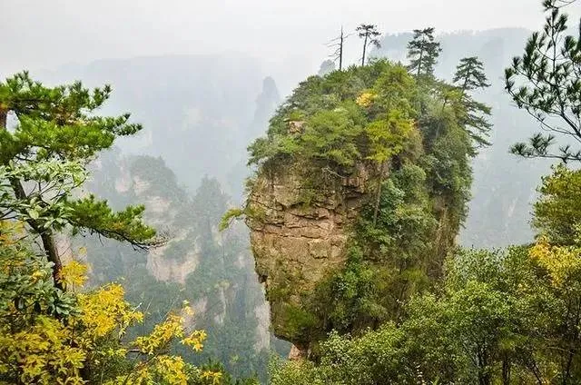 春节去张家界旅游攻略(春节张家界旅游攻略,选择买还有优惠!)