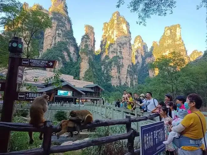 去湖南张家界旅游攻略自助游(去湖南张家界旅游攻略及费用要多少)