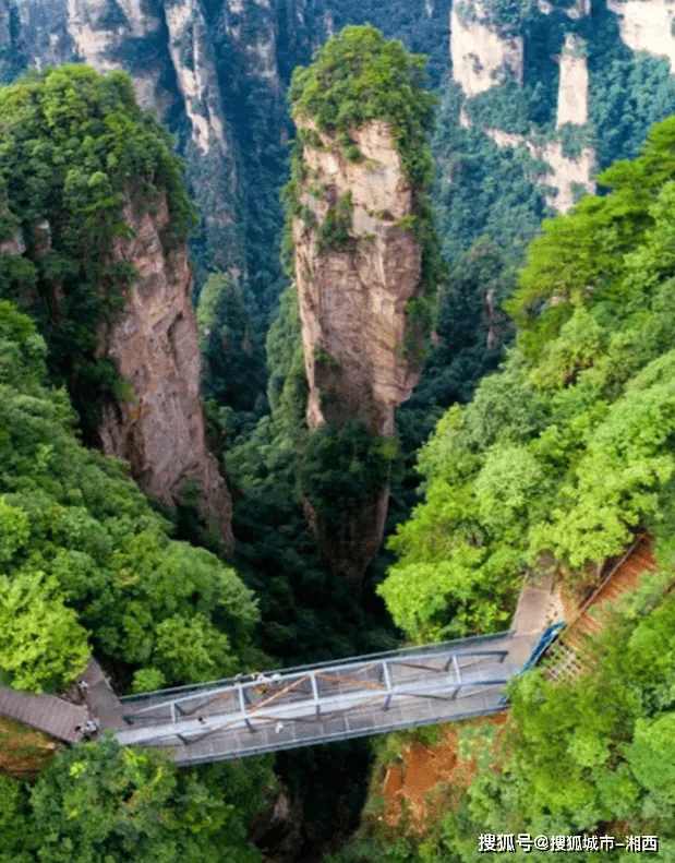 张家界旅游可以吗(2021年湖南张家界可以游玩吗)
