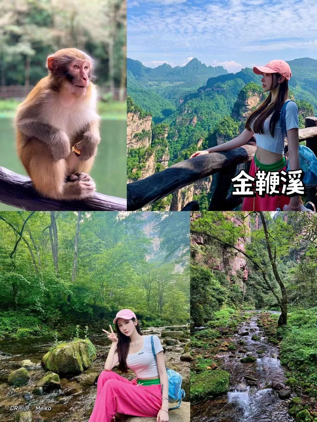 哈尔滨到张家界旅游攻略路线(哈尔滨到张家界自驾游最佳线路多少公里)
